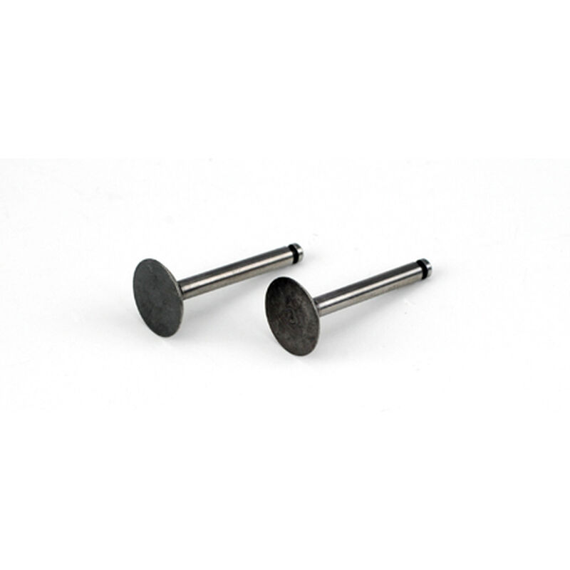 Valve, In/Out (pair): FA-62a/GK: AI, AJ, BV, BS
